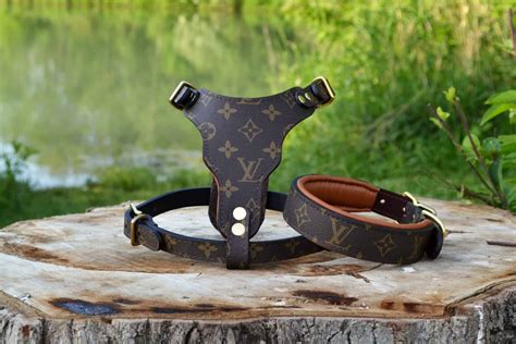 buy louis vuitton dog harness|louis vuitton small dog collar.